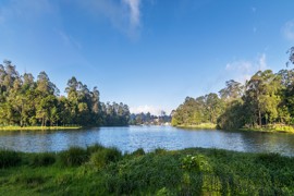 kodaikanal lake tours